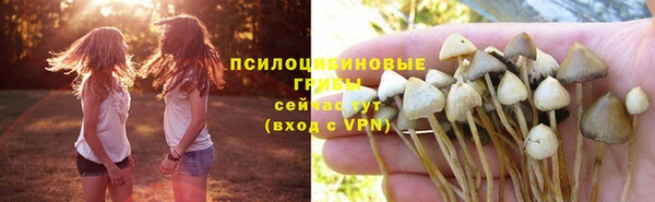 jwh Ладушкин