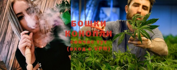 шишки Ижевск