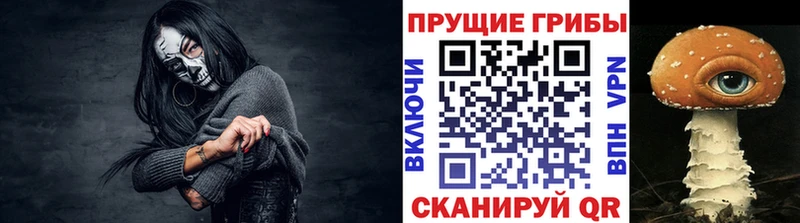 Галлюциногенные грибы прущие грибы  сколько стоит  Циолковский 
